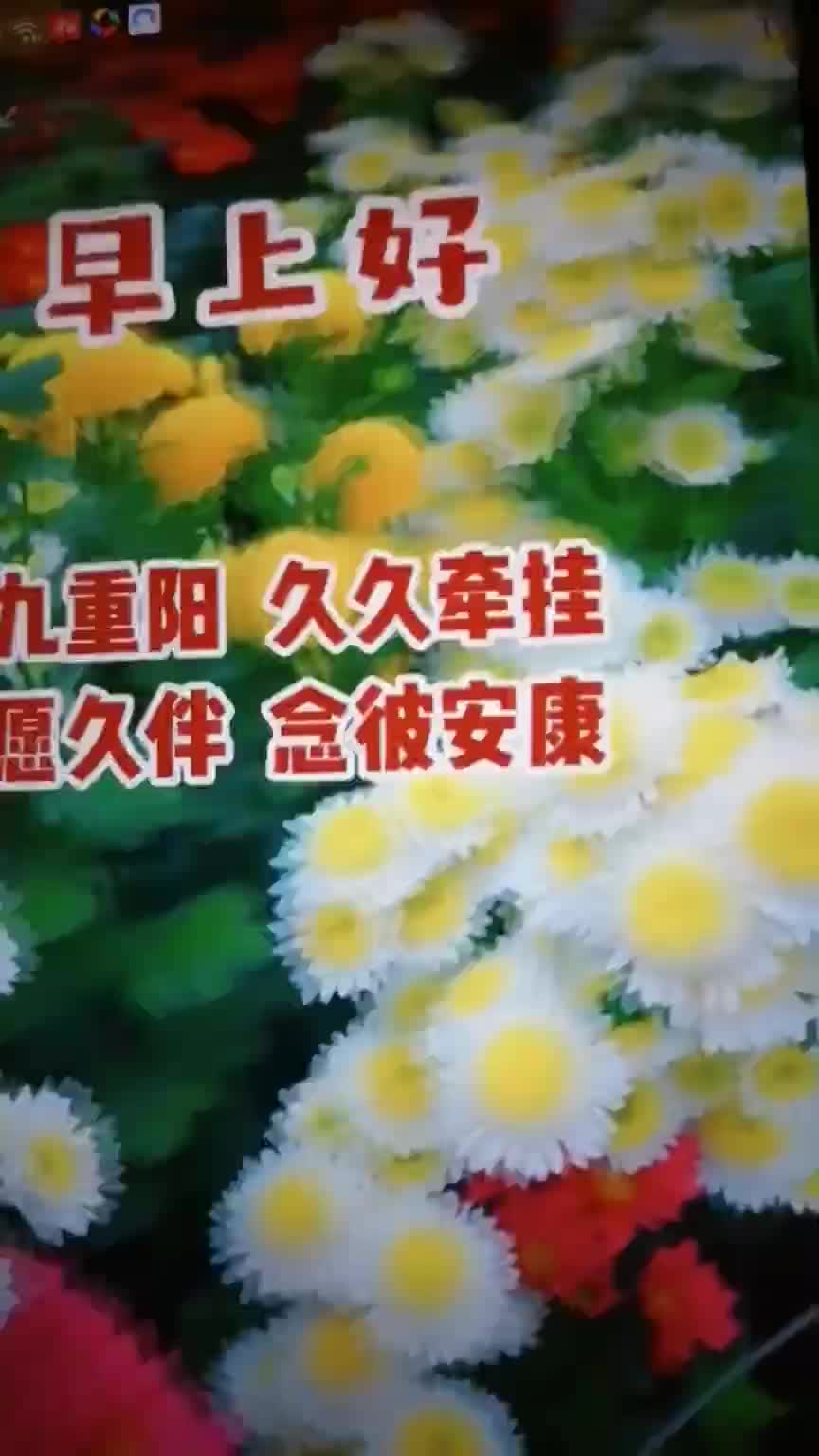 婷艺术总团团长重阳节快乐