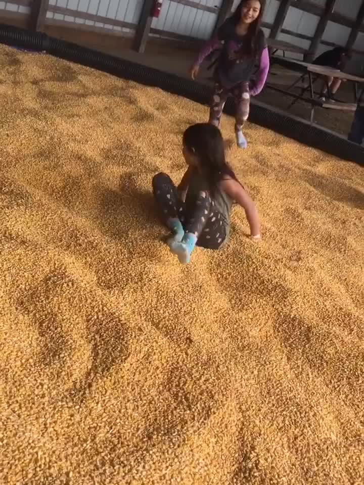 小孙女在农场玩，谷倉里也有快乐！