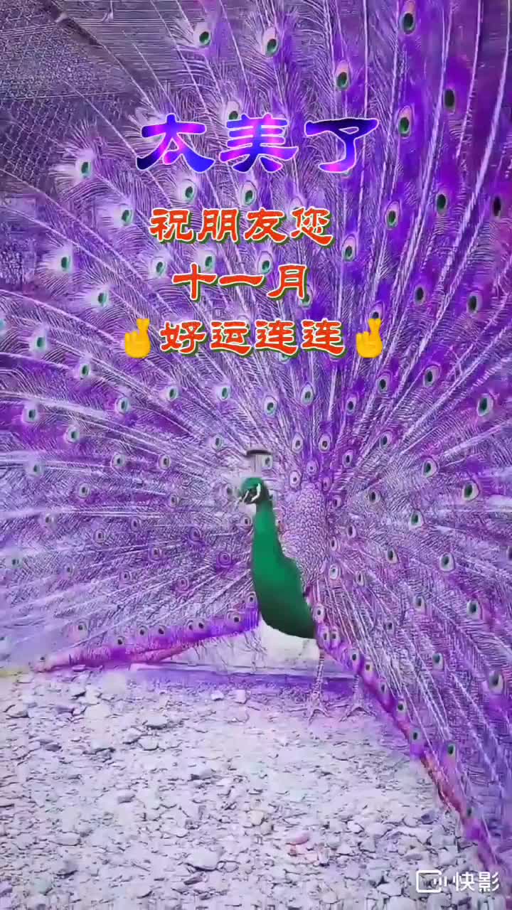 美好生活从今天开始