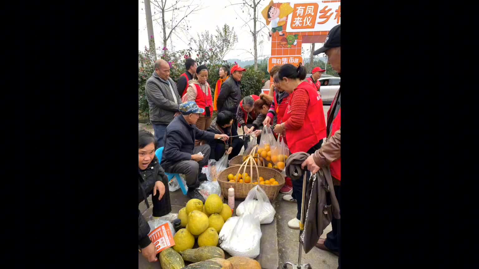 “助农市集”进璧山普新村