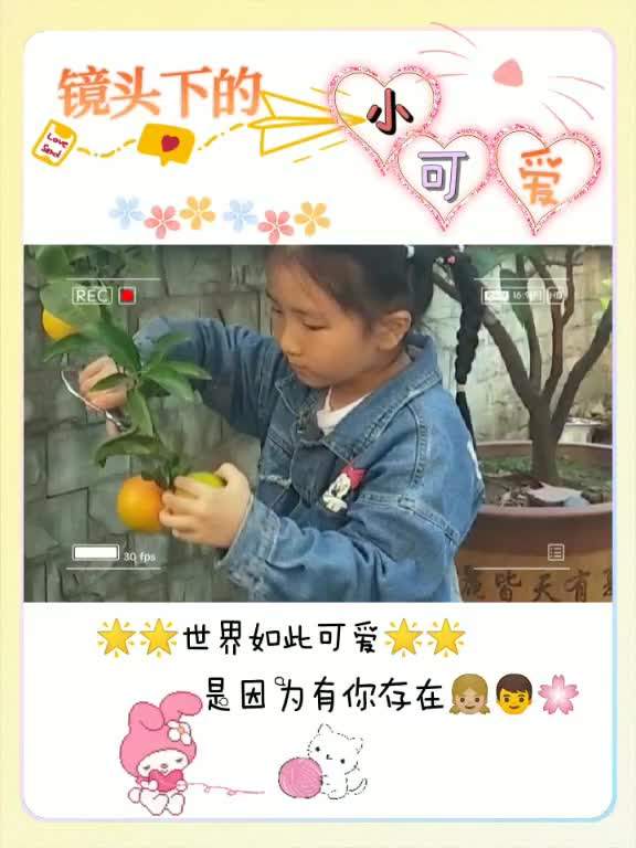 孙女快乐採摘自家桔子