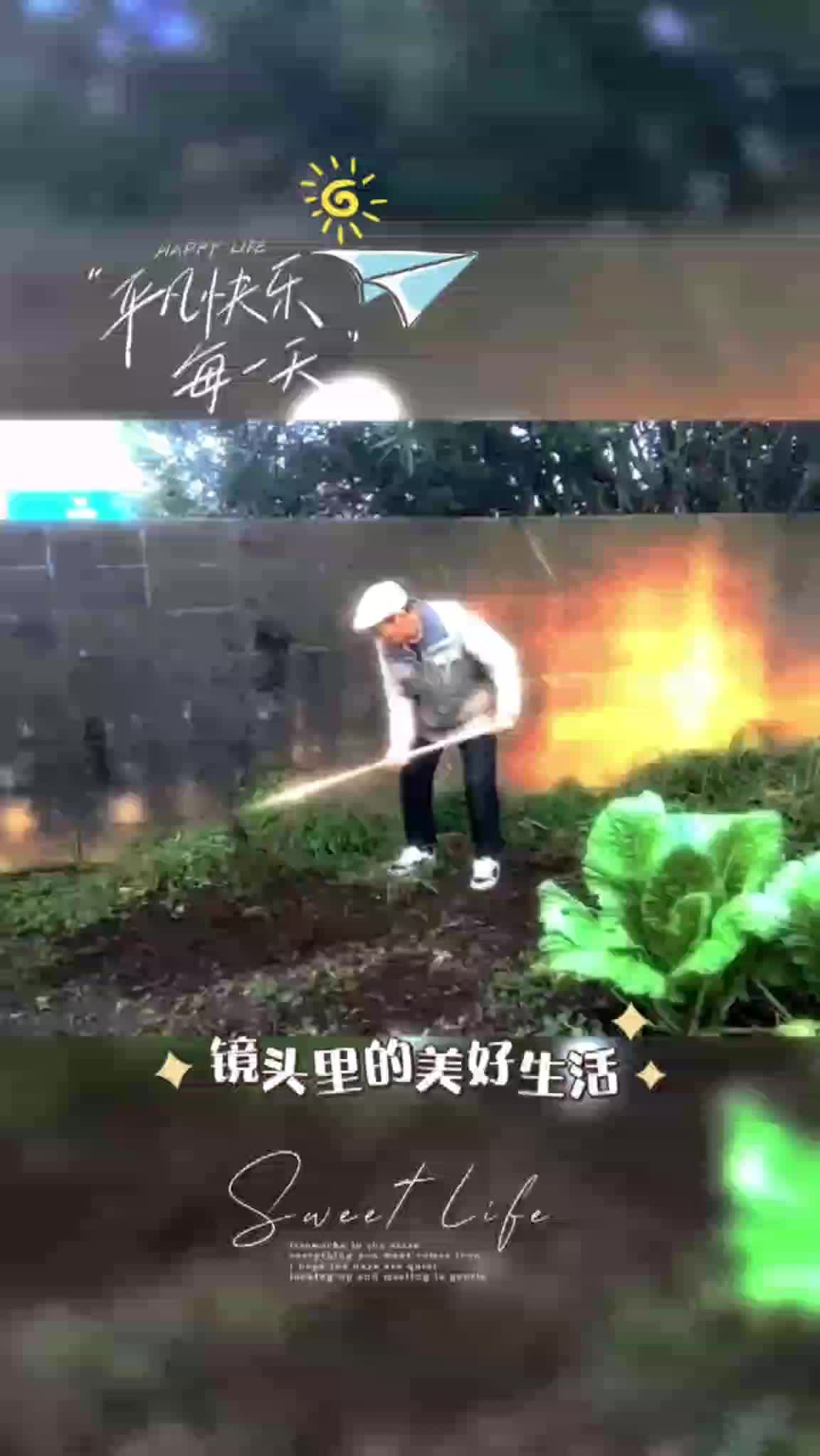 银龄志愿者平凡快乐每一天2025