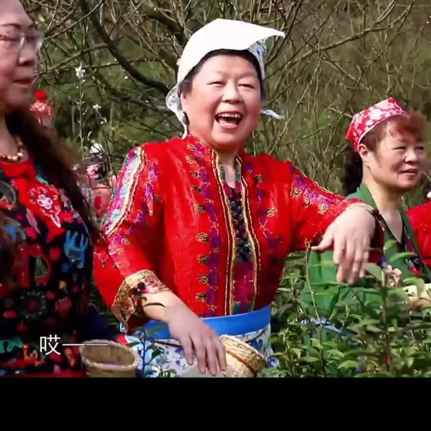 今年3月，老团干相聚天坪山茶场，并自演自拍了一部《又到梨花盛开时》的微电影，这里选择一小段对歌场景，以作回顾。