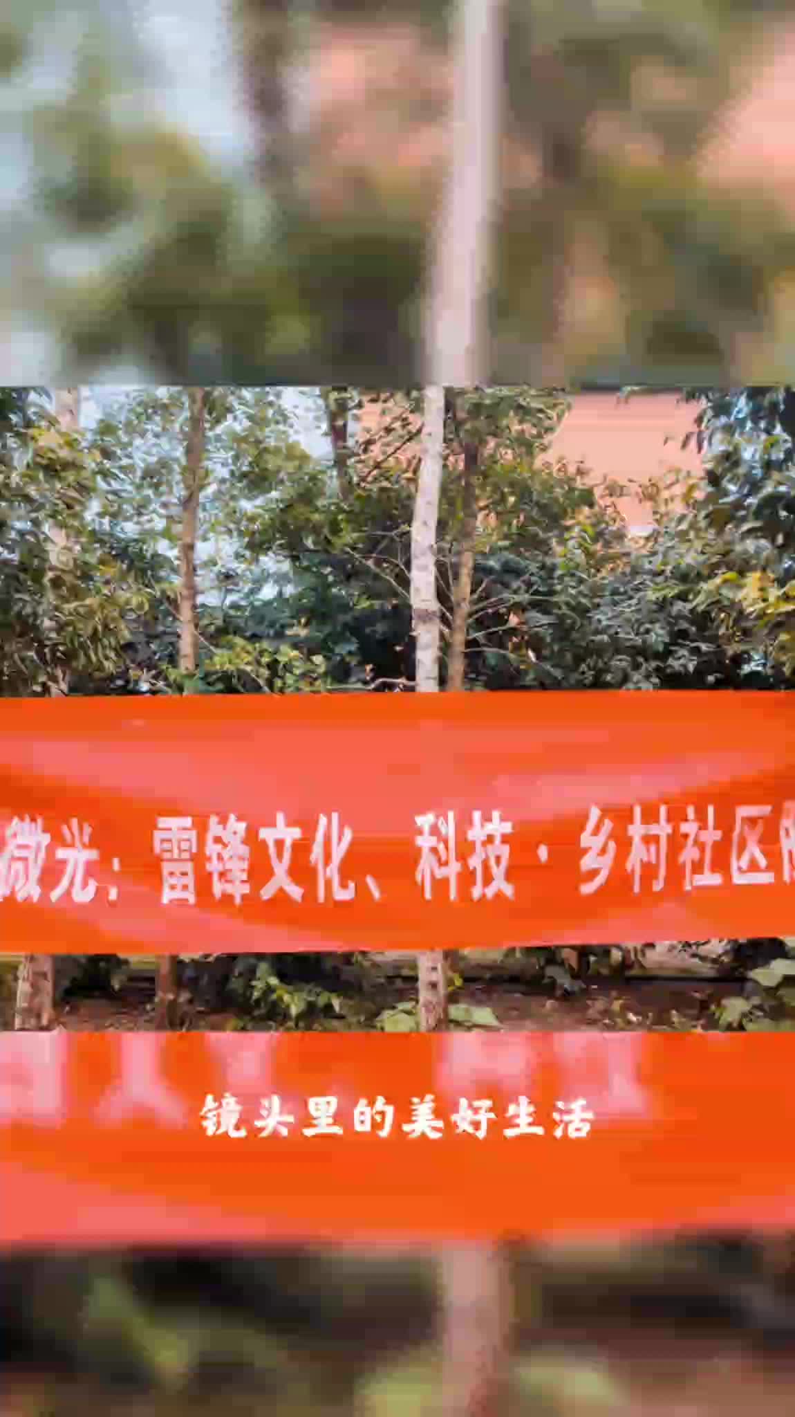 银龄总队逸航公益：2025.10月