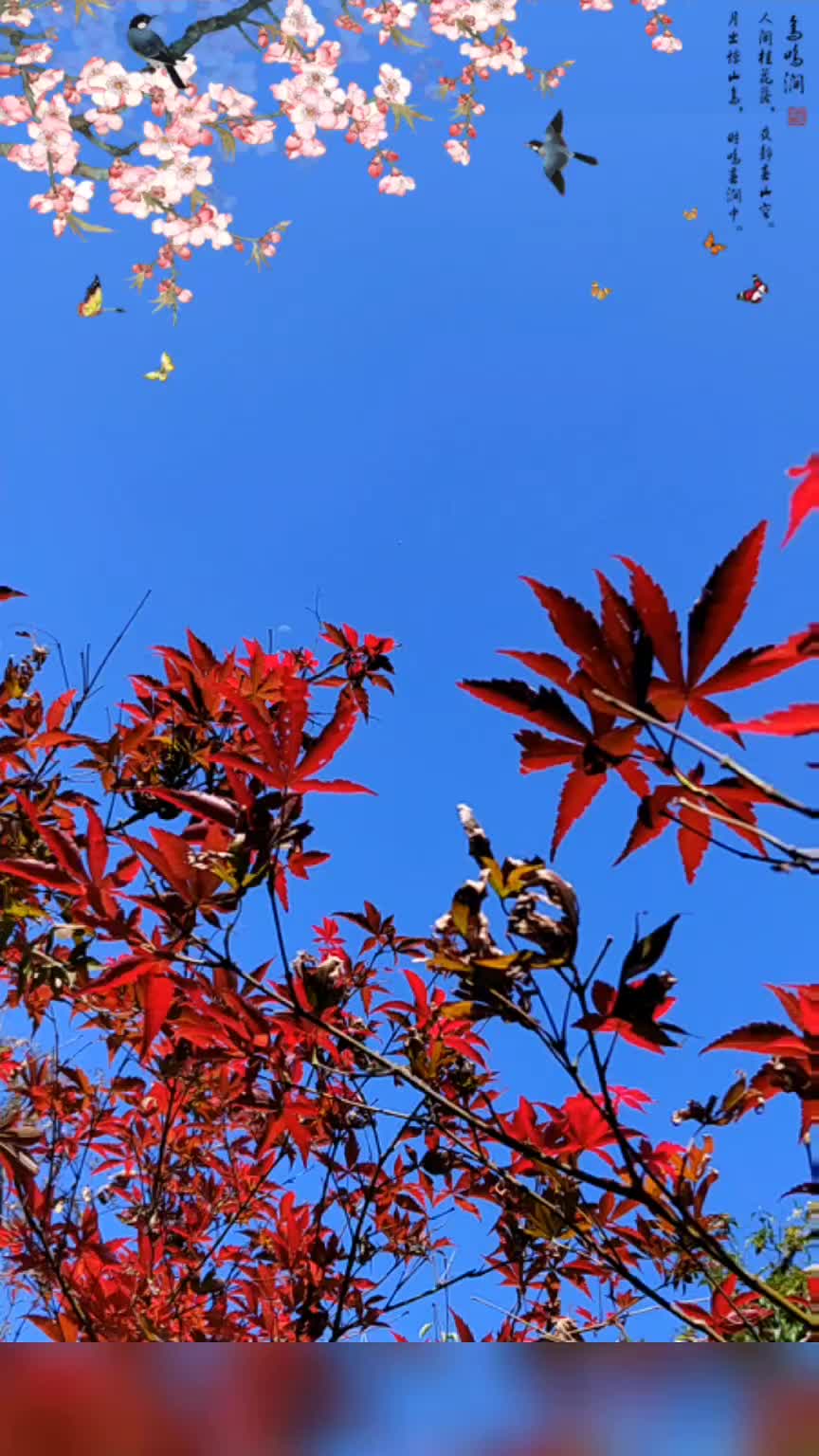 日月同辉—喜庆二十大