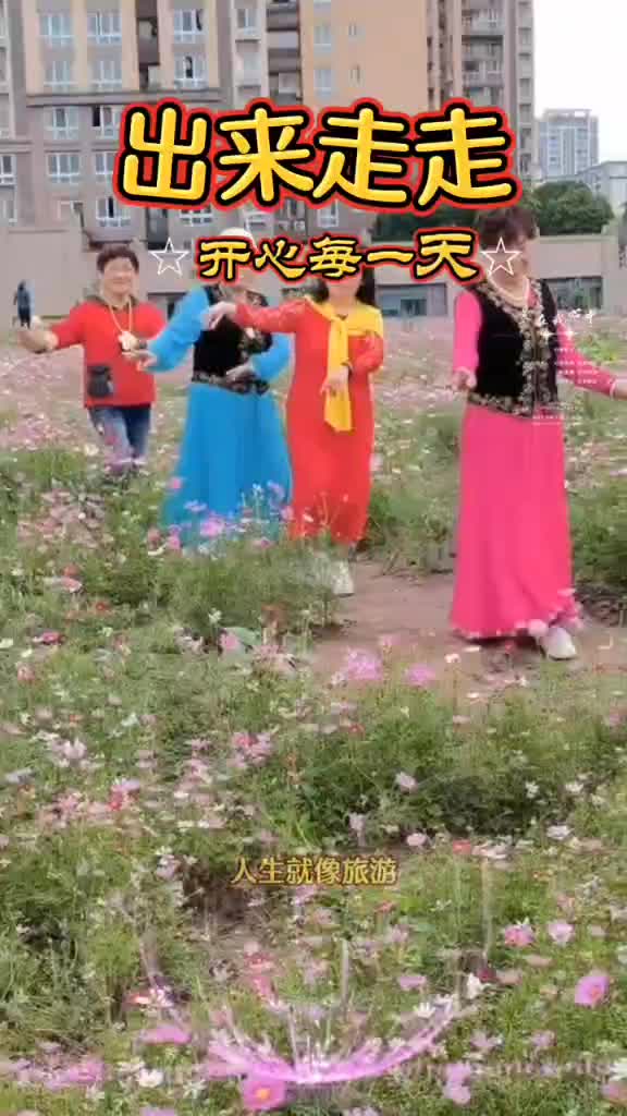 蔡家观赏格桑花