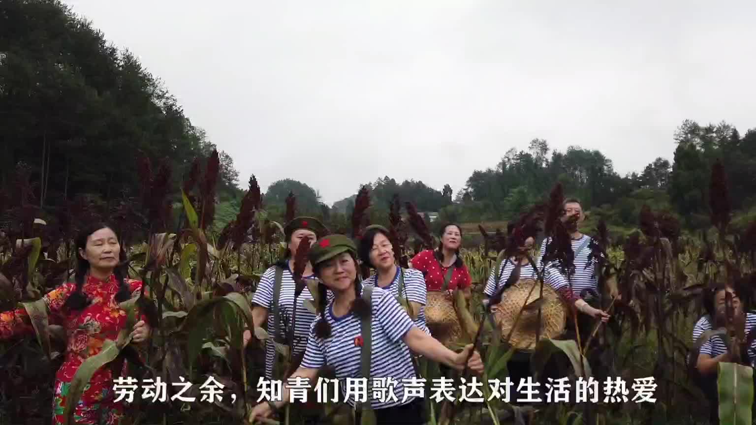 那年那月那芳华，留下知青许多难忘的回忆。