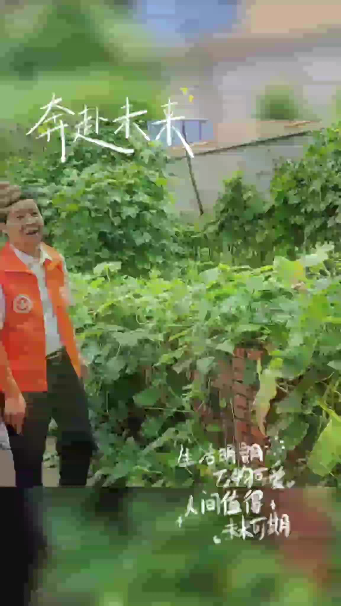 银龄志愿服务