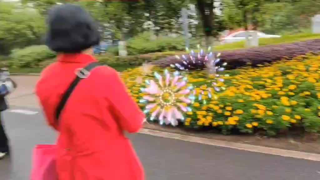 莫奈花园，群友们走起！👍🌸👭🌹🌼🌷🍁